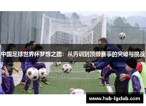 中国足球世界杯梦想之路：从青训到顶级赛事的突破与挑战
