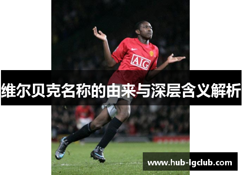 维尔贝克名称的由来与深层含义解析