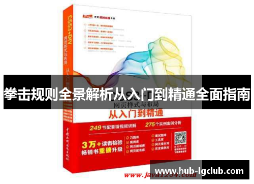 拳击规则全景解析从入门到精通全面指南