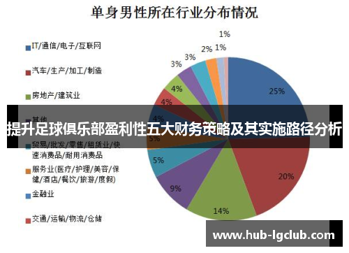 提升足球俱乐部盈利性五大财务策略及其实施路径分析 提升足球俱乐部盈利性五大财务策略及其实施路径分析