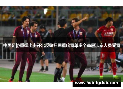 中国足协重拳出击开出反赌扫黑重磅罚单多个高层涉案人员受罚 中国足协重拳出击开出反赌扫黑重磅罚单多个高层涉案人员受罚